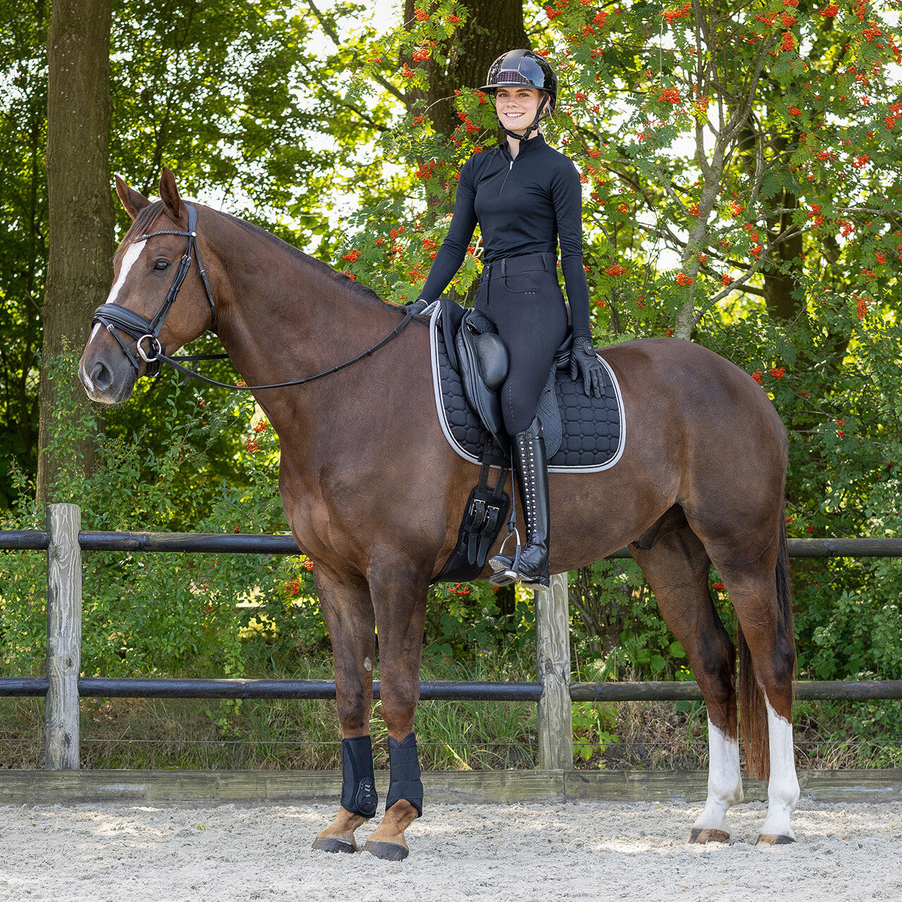 Cabezadas muserola pad Air Mesh QHP para equitación - vista 25