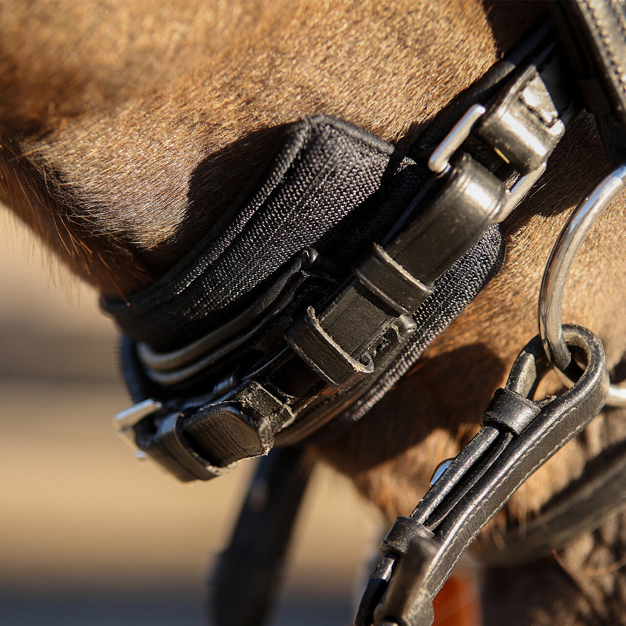 Cabezadas Chin pad Air Mesh QHP para equitación - vista 5