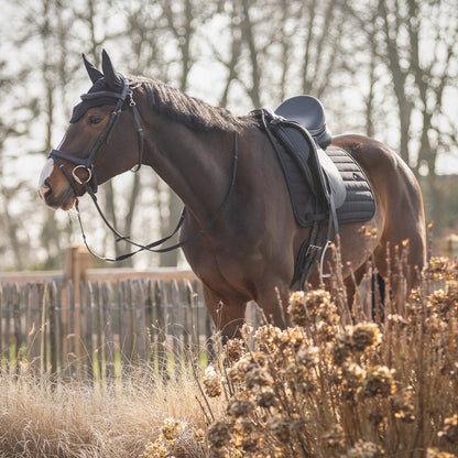 Orejera Ear net Salerno QHP para equitación - vista 19