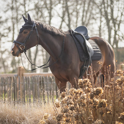 Orejera Ear net Salerno QHP para equitación - vista 20