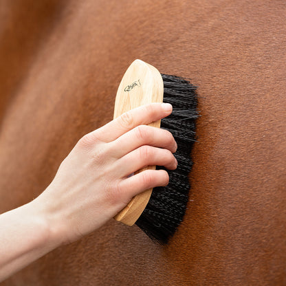 Cepillo Dandy brush magnet QHP para equitación - vista 5