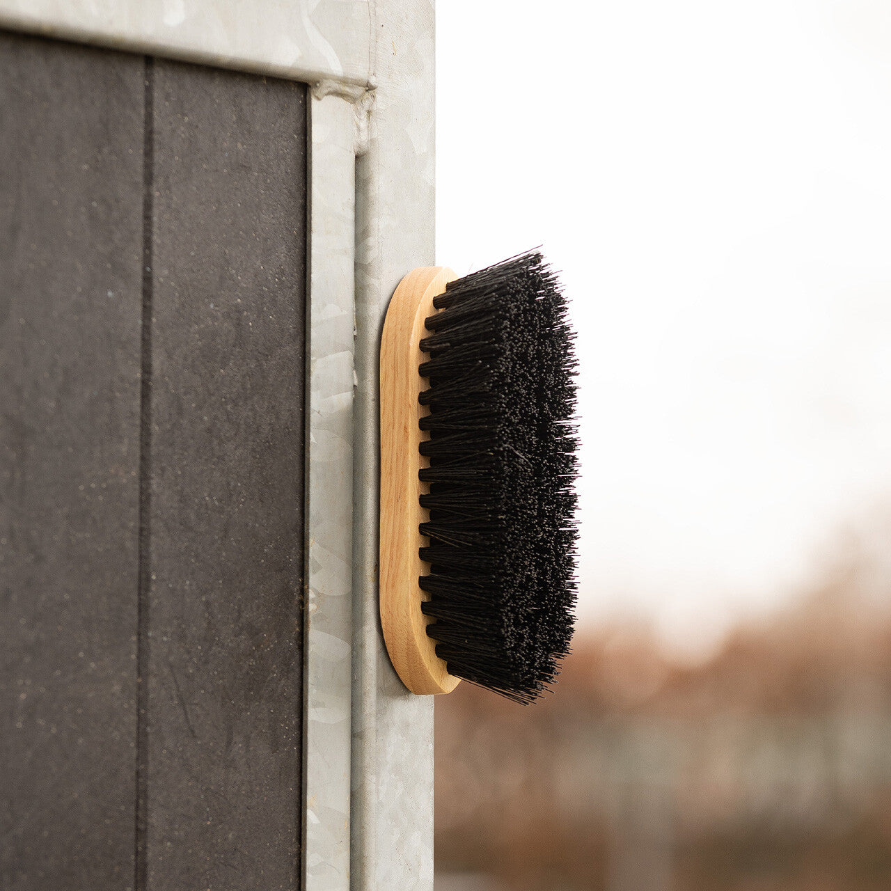 Cepillo Dandy brush magnet QHP para equitación - vista 21