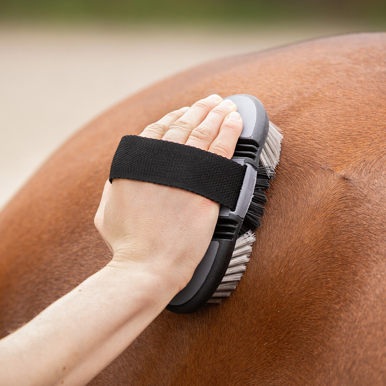 Cepillo Body brush flexible QHP para equitación - vista 17