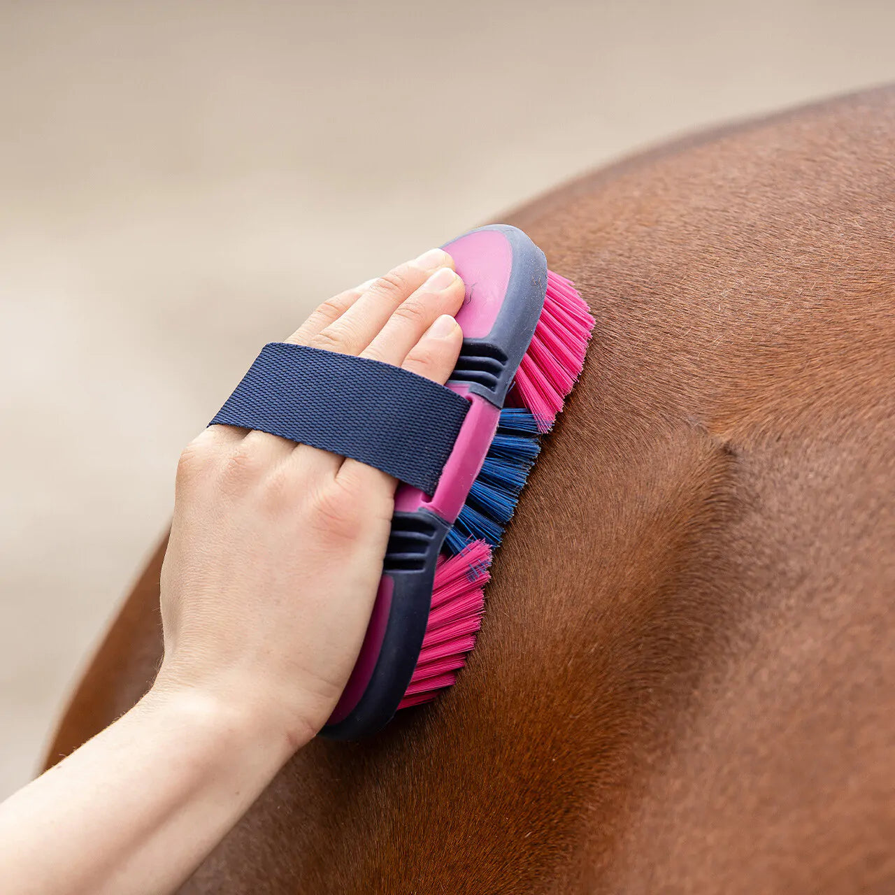 Cepillo Body brush flexible QHP para equitación - vista 6