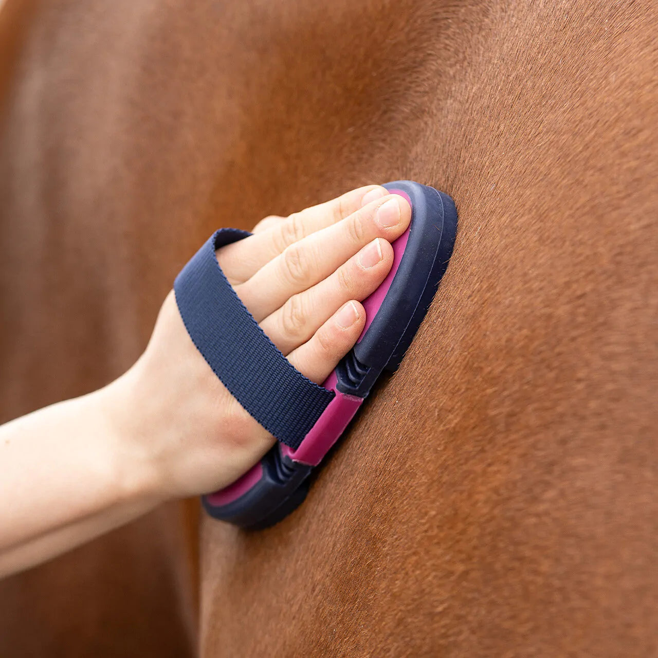 Cepillo Curry comb flexible QHP para equitación - vista 4