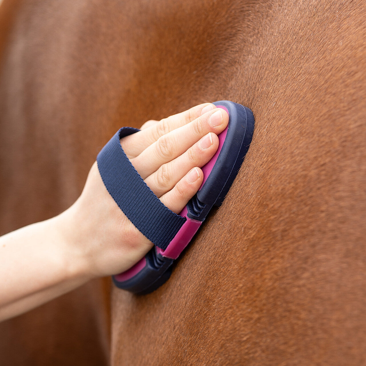 Cepillo Curry comb flexible QHP para equitación - vista 19