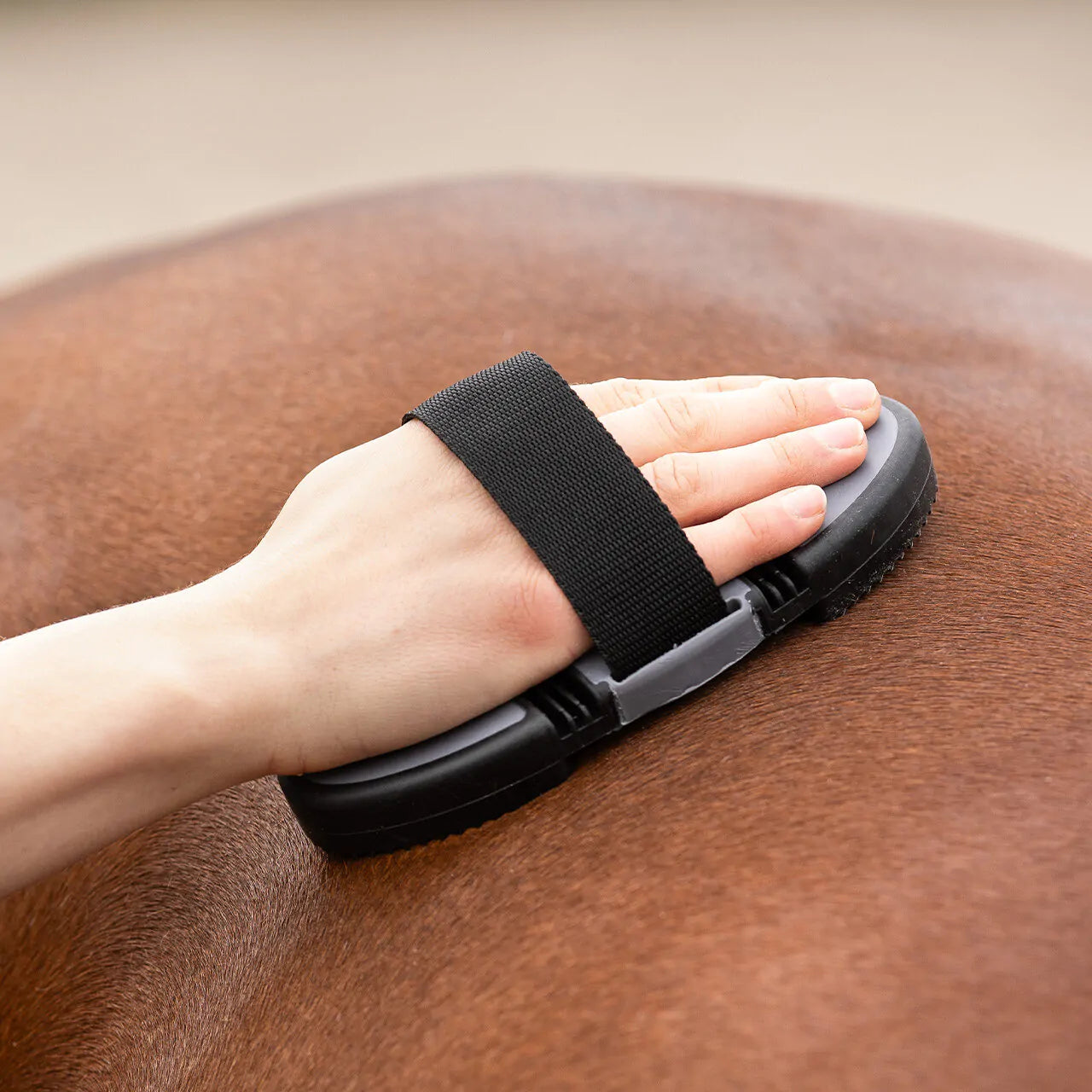 Cepillo Curry comb flexible QHP para equitación - vista 10