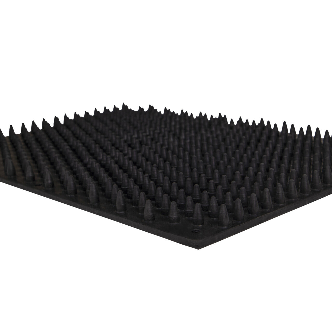 Scrub/massage mat 30x40cm QHP para equitación - vista 3