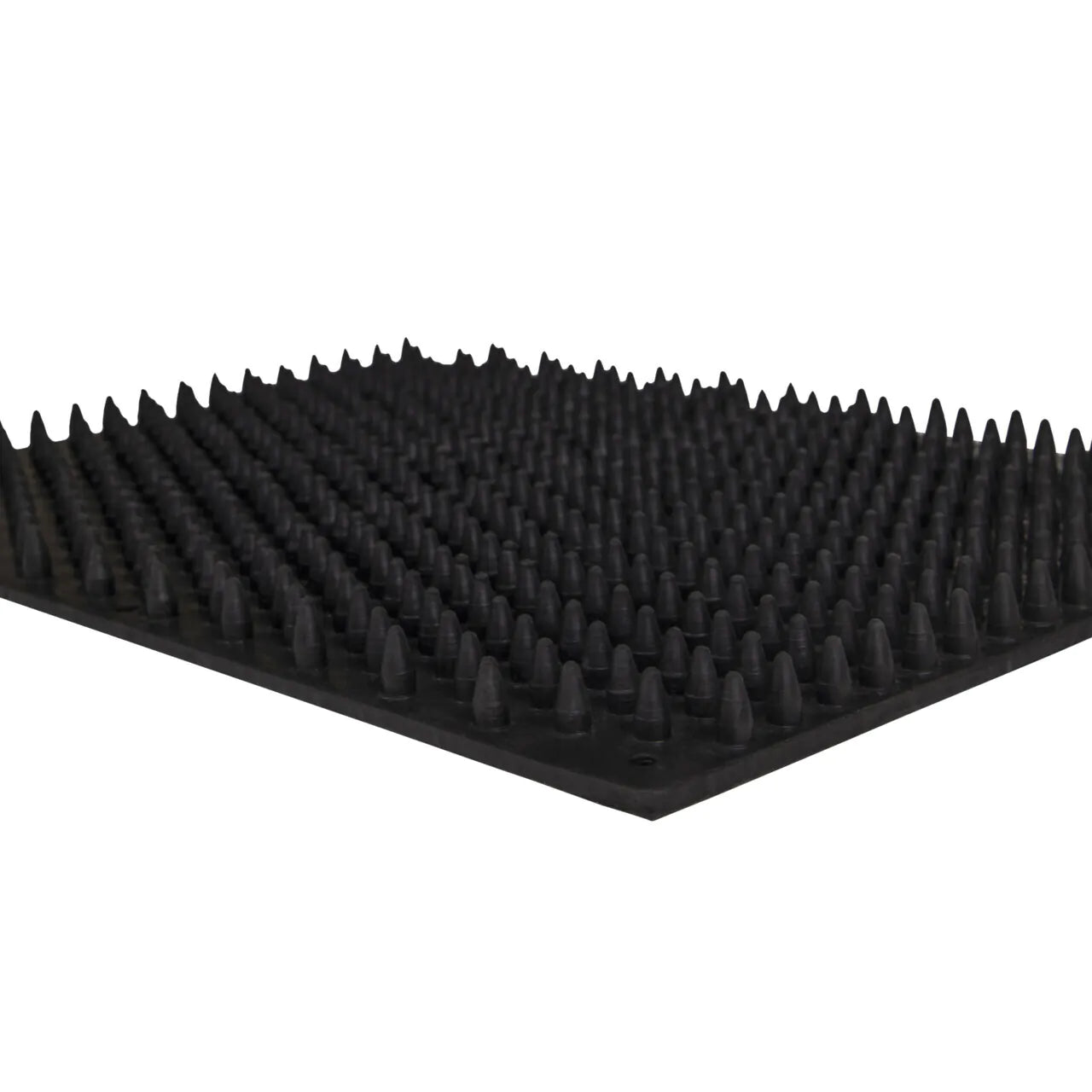 Scrub/massage mat 30x40cm QHP para equitación - vista 4