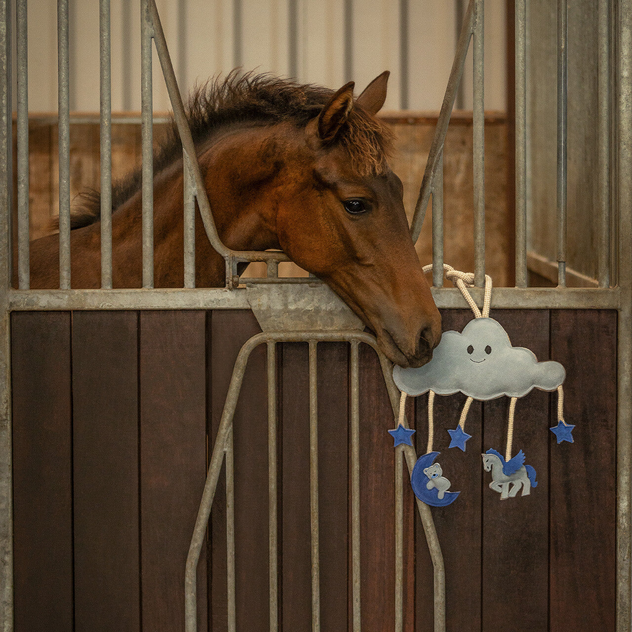 Accesorio ecuestre Caballo toy Novy QHP para equitación - vista 12