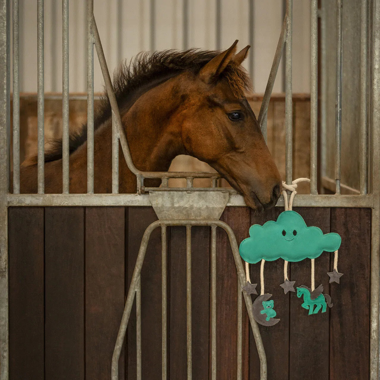 Accesorio ecuestre Caballo toy Novy QHP para equitación - vista 6