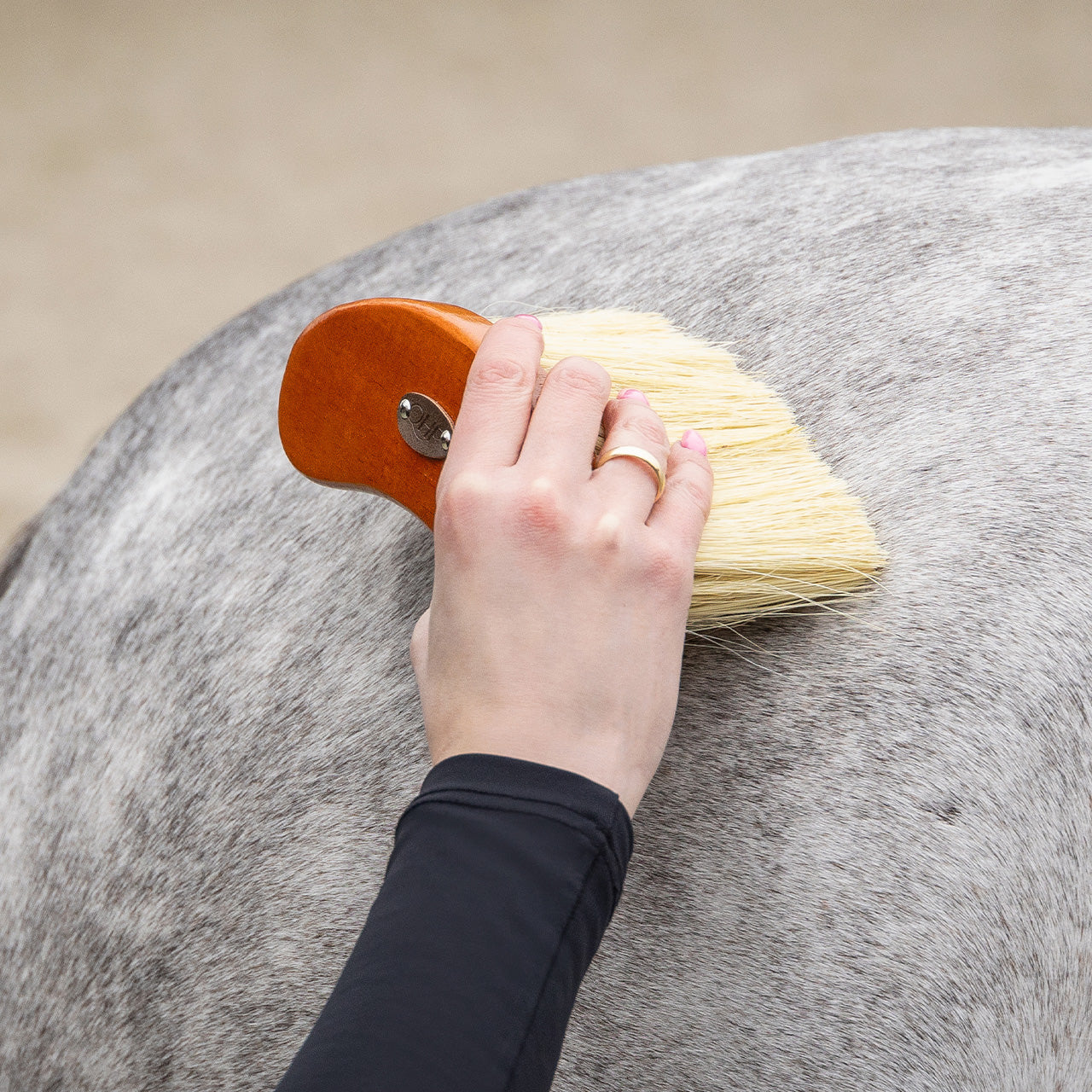 Grooming set Royal QHP para equitación
