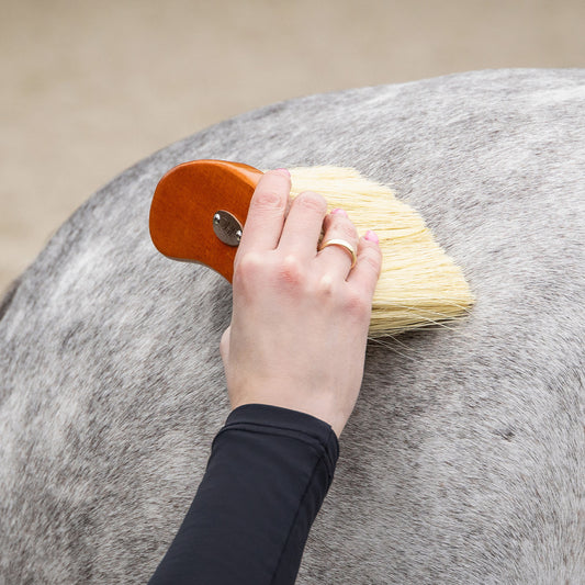 Grooming set Royal QHP para equitación