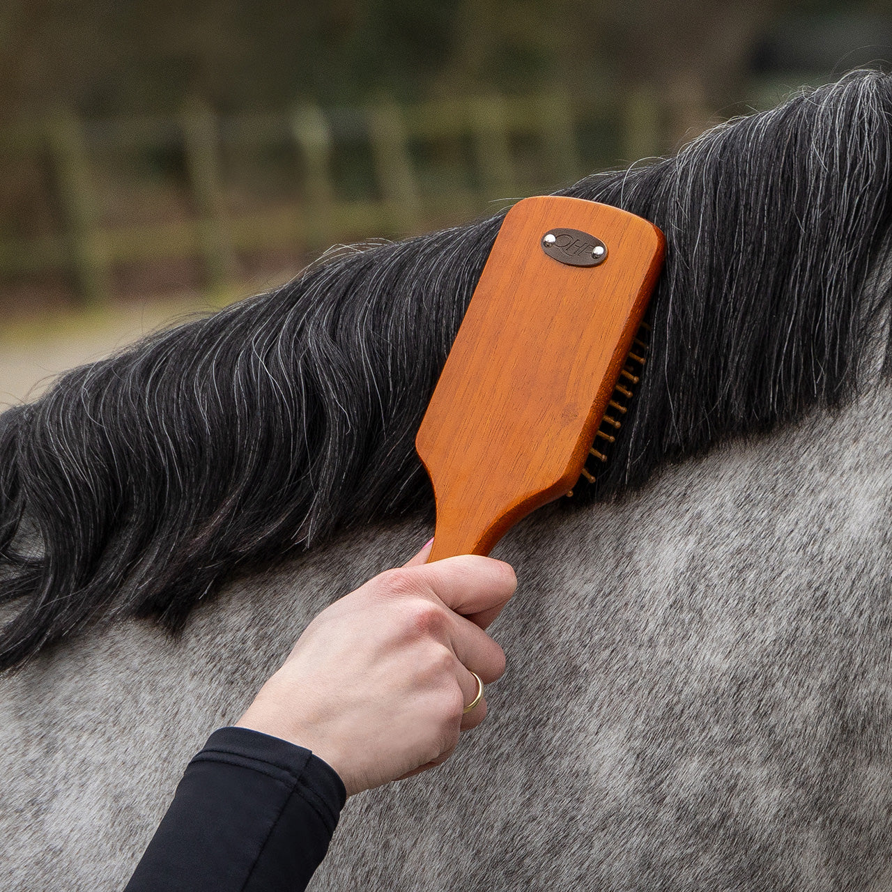 Grooming set Royal QHP para equitación - vista 24