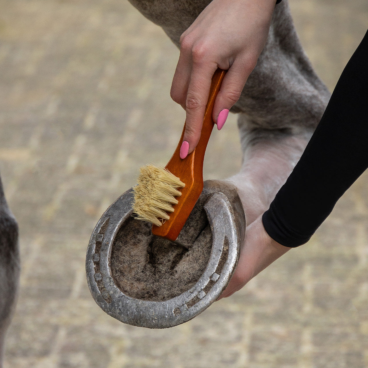 Grooming set Royal QHP para equitación - vista 5
