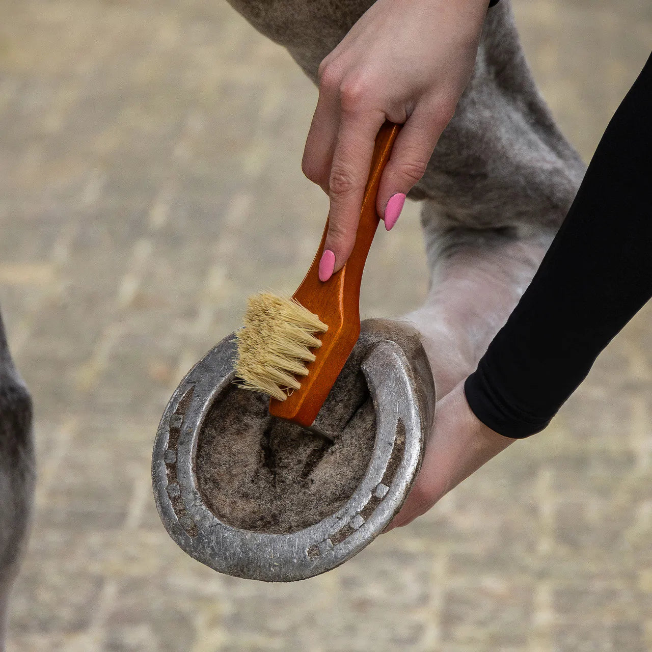 Grooming set Royal QHP para equitación - vista 6