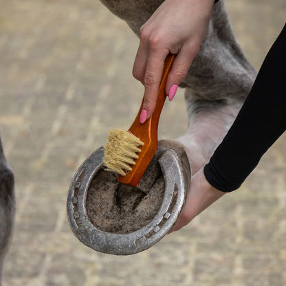 Grooming set Royal QHP para equitación - vista 6