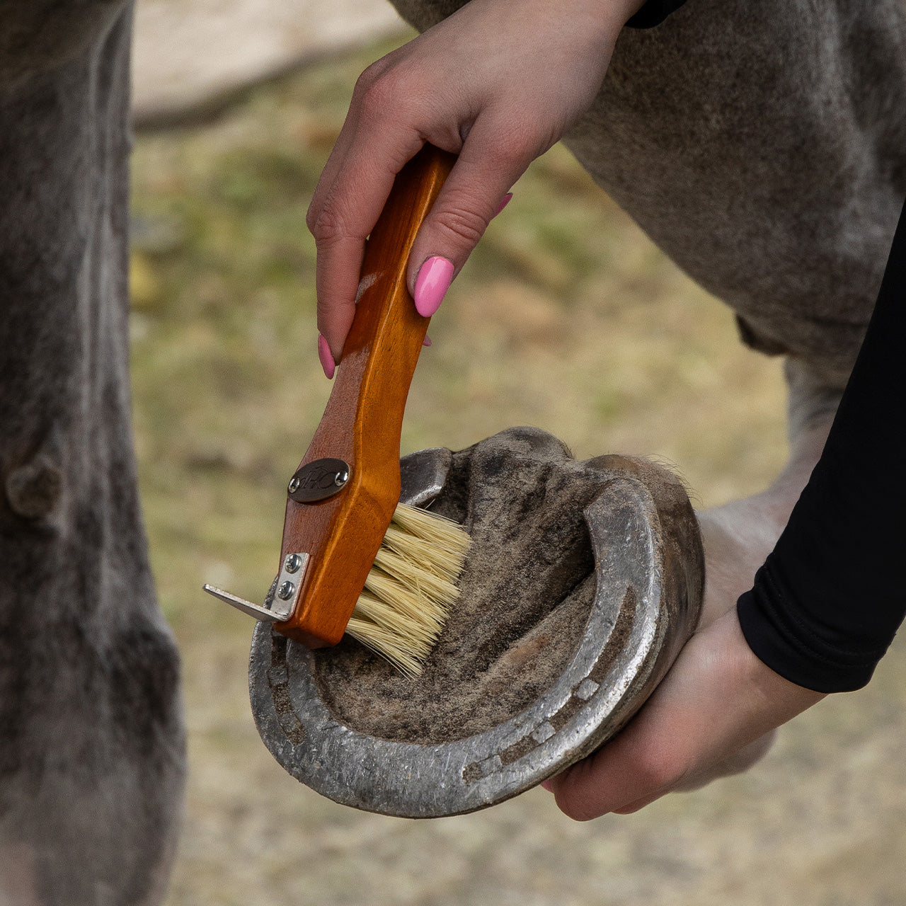 Grooming set Royal QHP para equitación - vista 26