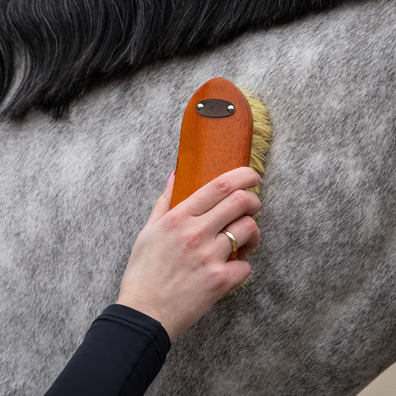 Grooming set Royal QHP para equitación - vista 33