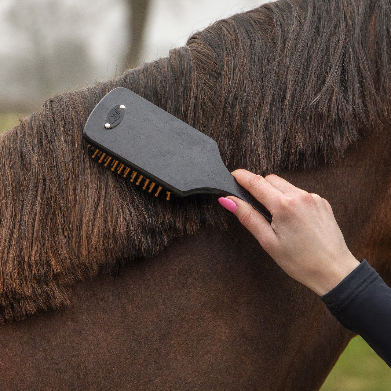 Grooming set Royal QHP para equitación - vista 37