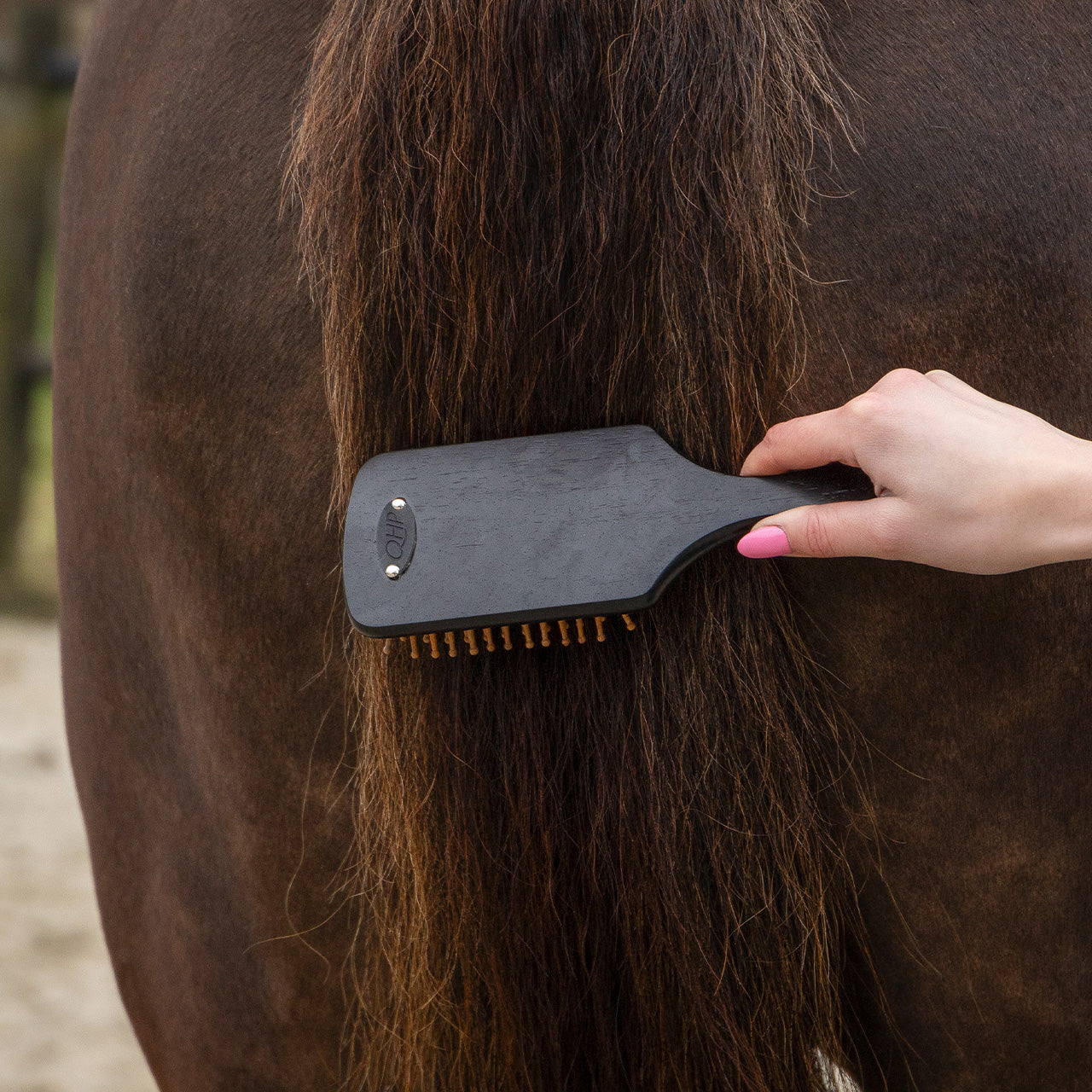 Grooming set Royal QHP para equitación - vista 38