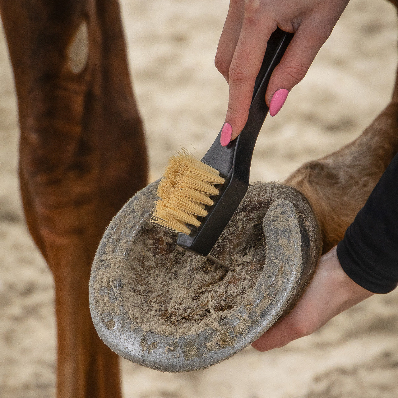 Grooming set Royal QHP para equitación - vista 39