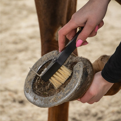 Grooming set Royal QHP para equitación - vista 40