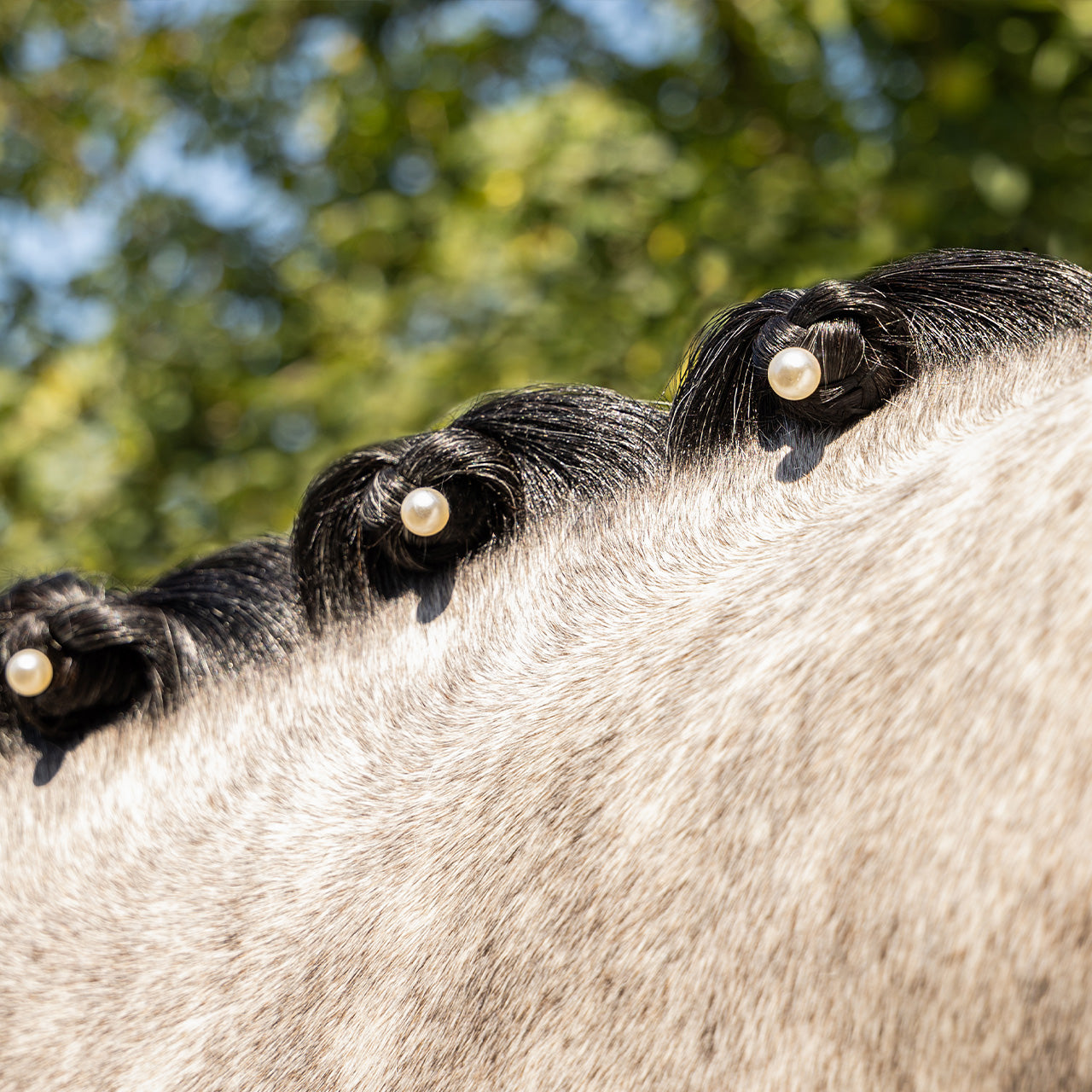 Mane jewels Pearl QHP para equitación - vista 5