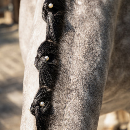 Mane jewels Pearl QHP para equitación - vista 7