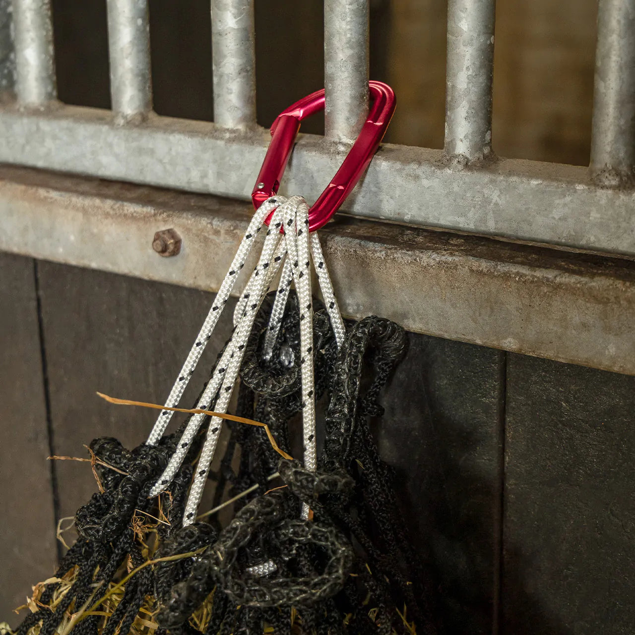 Accesorios de manejo mosquetón QHP para equitación - vista 2