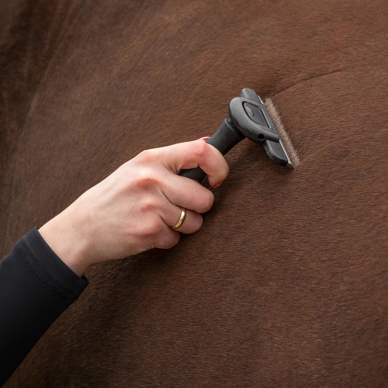 Cepillo Shedding brush QHP para equitación - vista 4