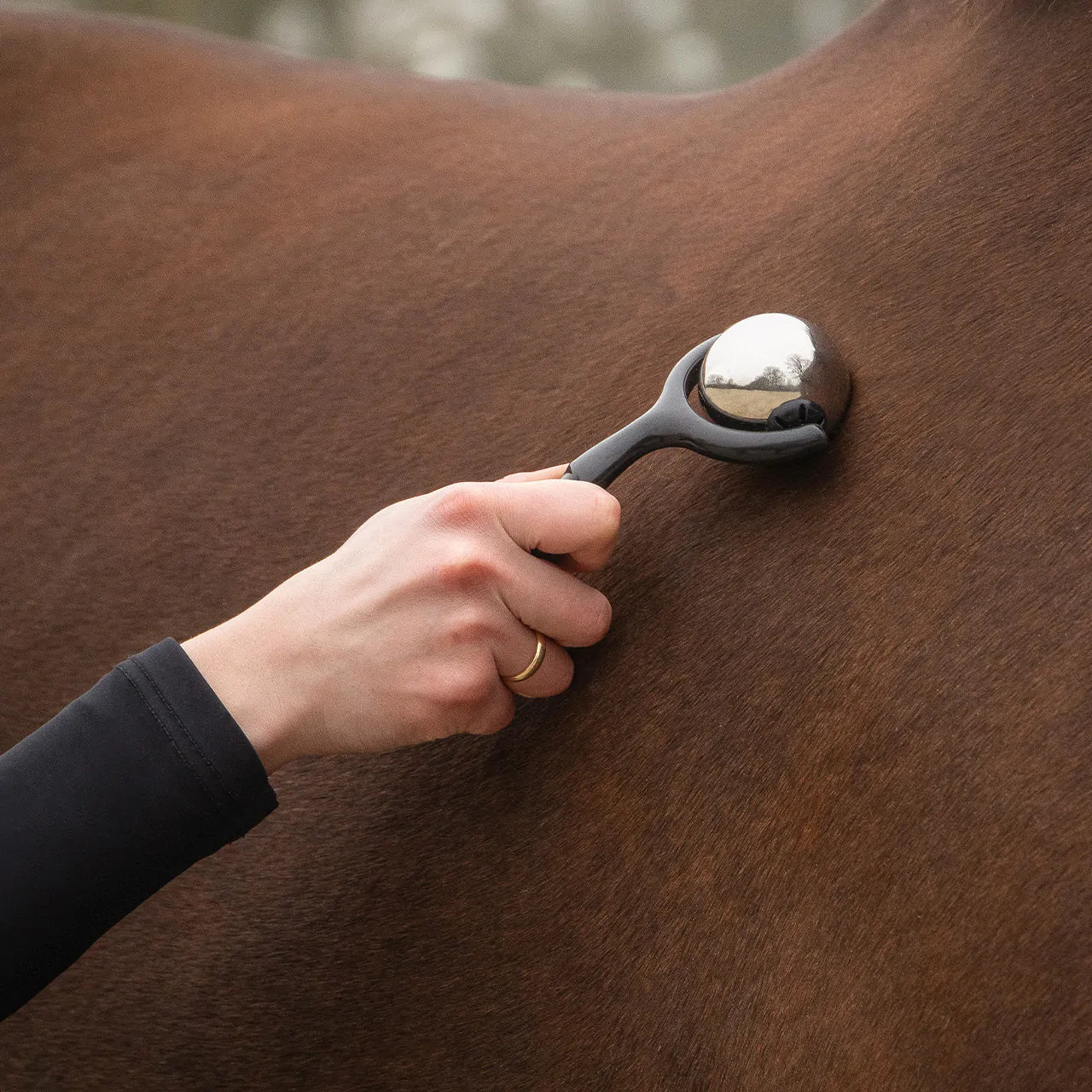 Accesorio ecuestre Caballo Massage Roller QHP para equitación - vista 4