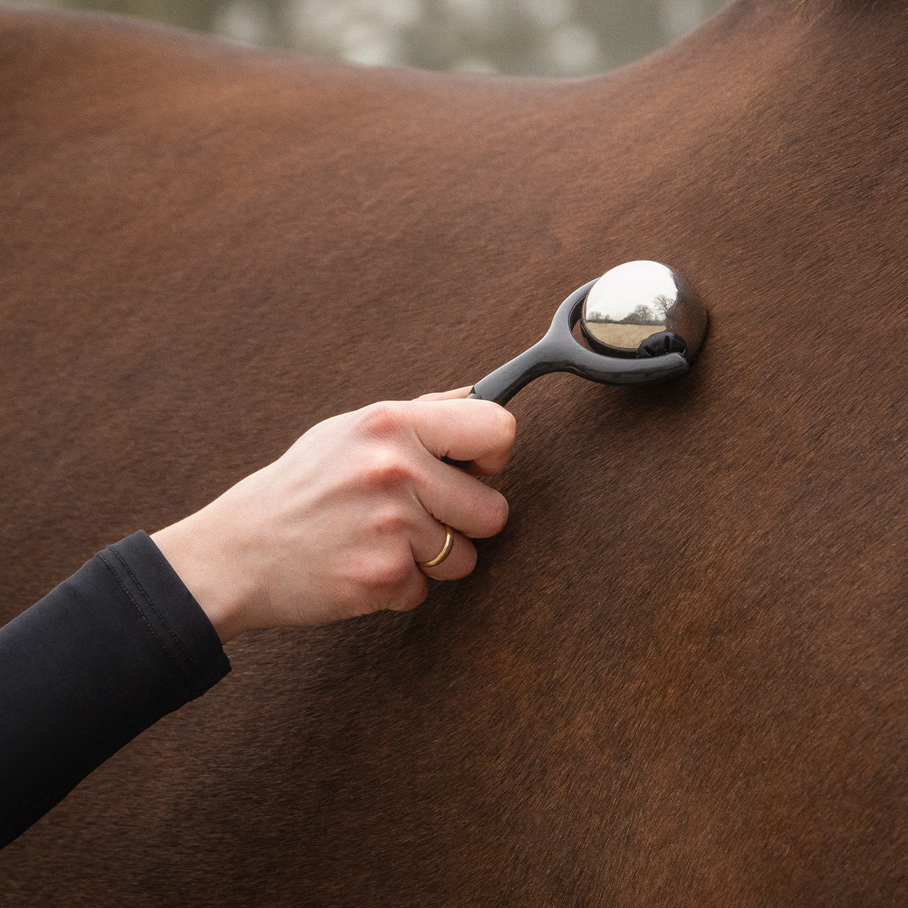 Accesorio ecuestre Caballo Massage Roller QHP para equitación - vista 13