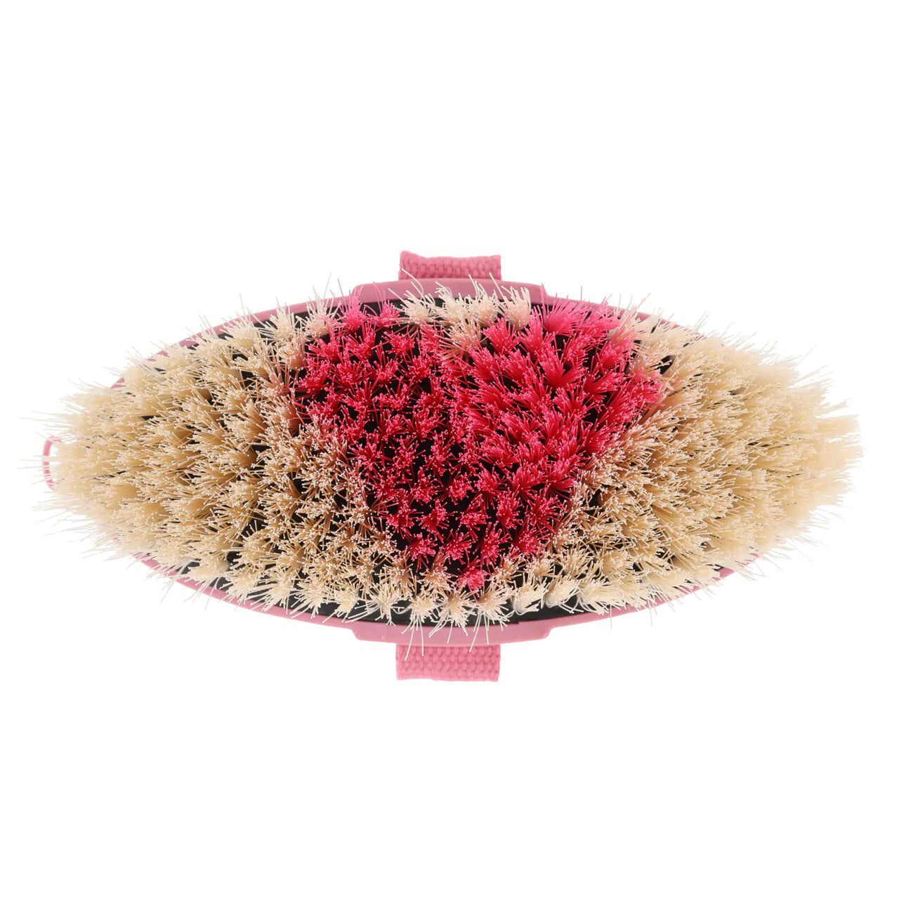 Cepillo Body brush Lyvia QHP para equitación - vista 4