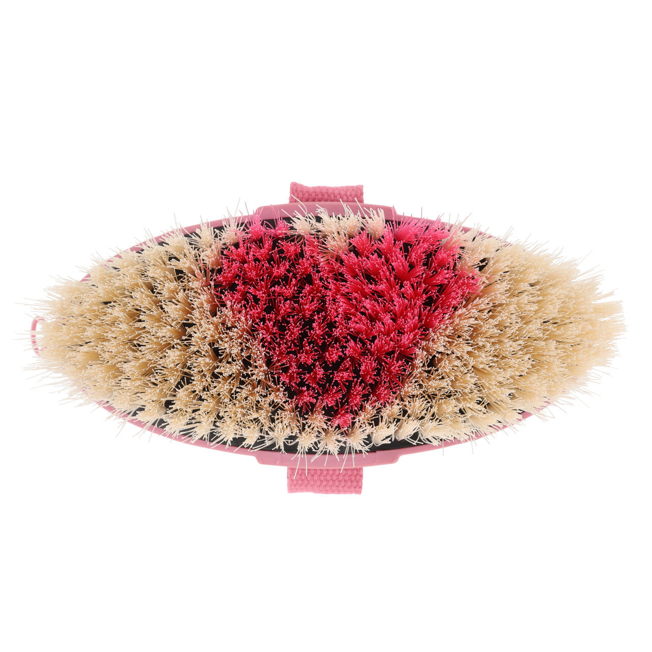 Cepillo Body brush Lyvia QHP para equitación - vista 13