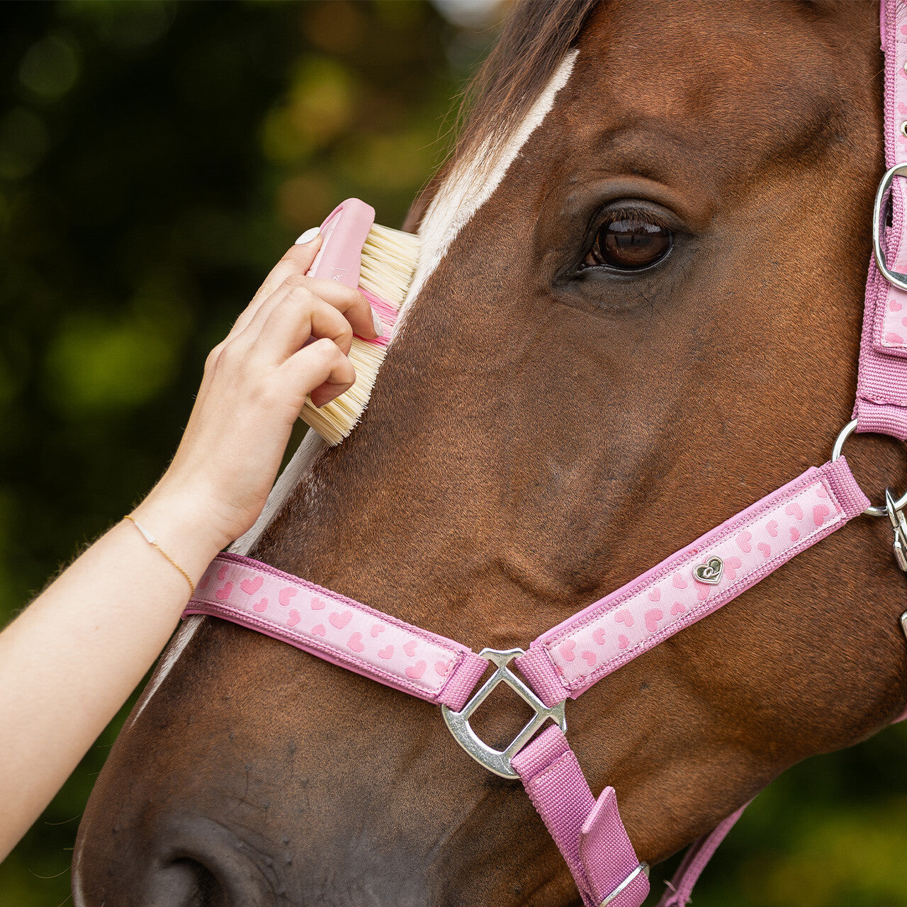 Cepillo Head brush Lyvia QHP para equitación - vista 5