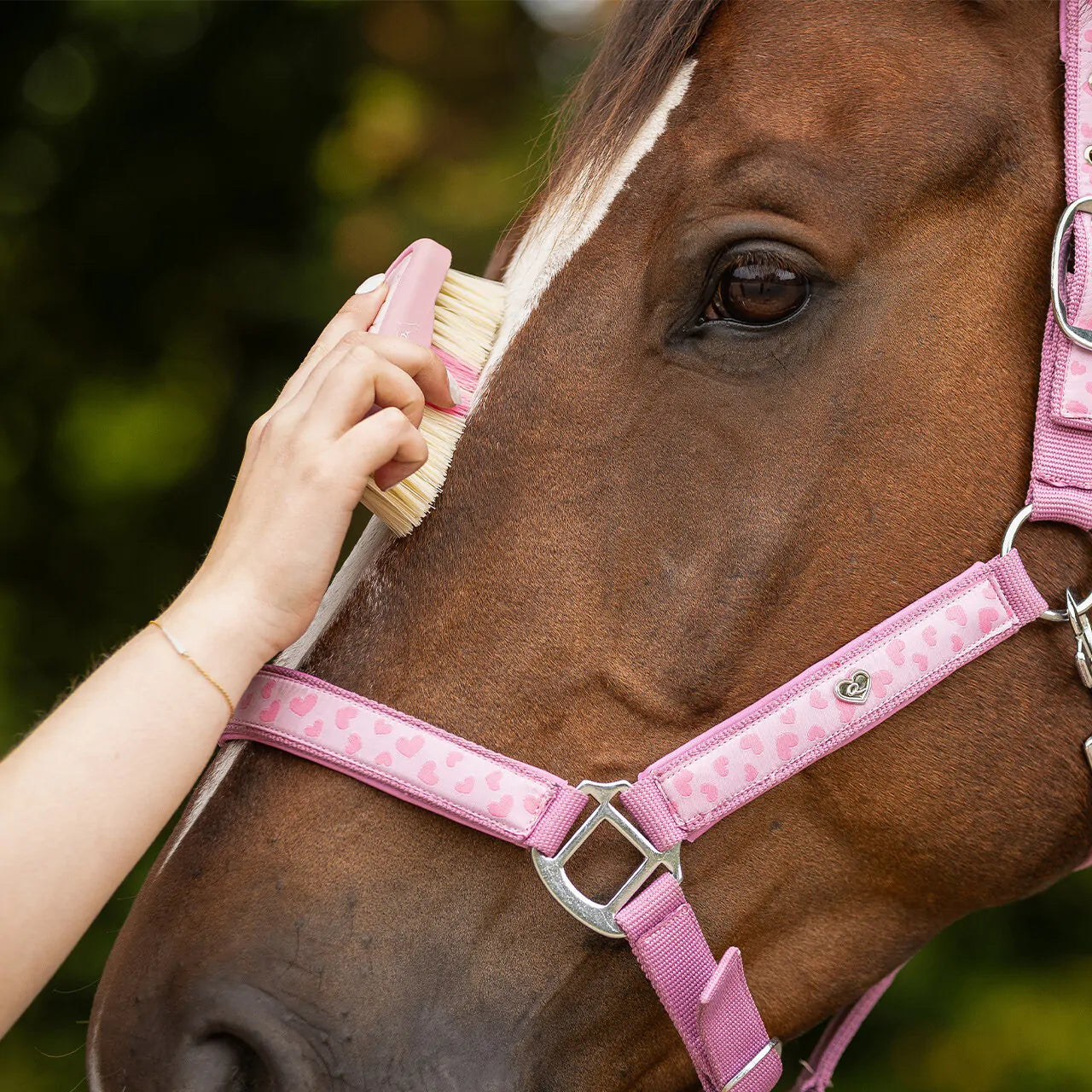 Cepillo Head brush Lyvia QHP para equitación - vista 6