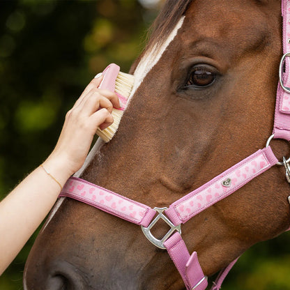 Cepillo Head brush Lyvia QHP para equitación - vista 6