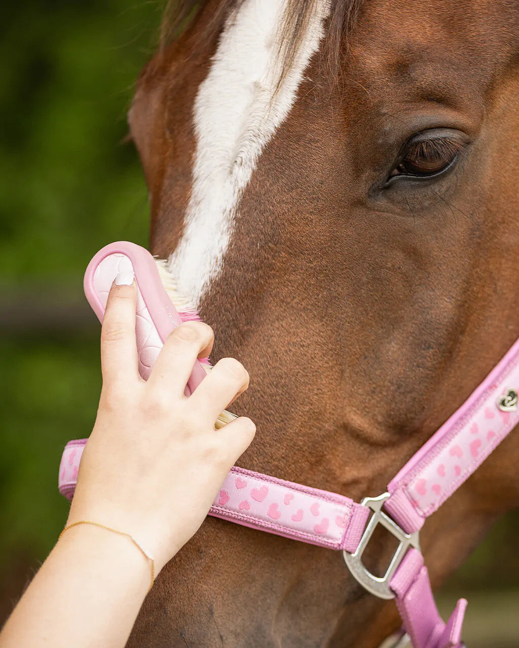 Cepillo Head brush Lyvia QHP para equitación - vista 8