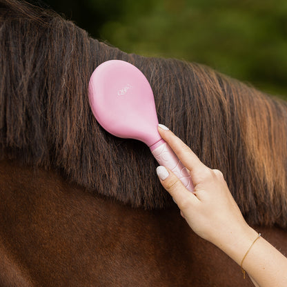 Accesorio ecuestre Mane y tail comb Lyvia QHP para equitación - vista 3