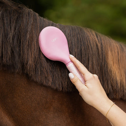 Accesorio ecuestre Mane y tail comb Lyvia QHP para equitación - vista 4