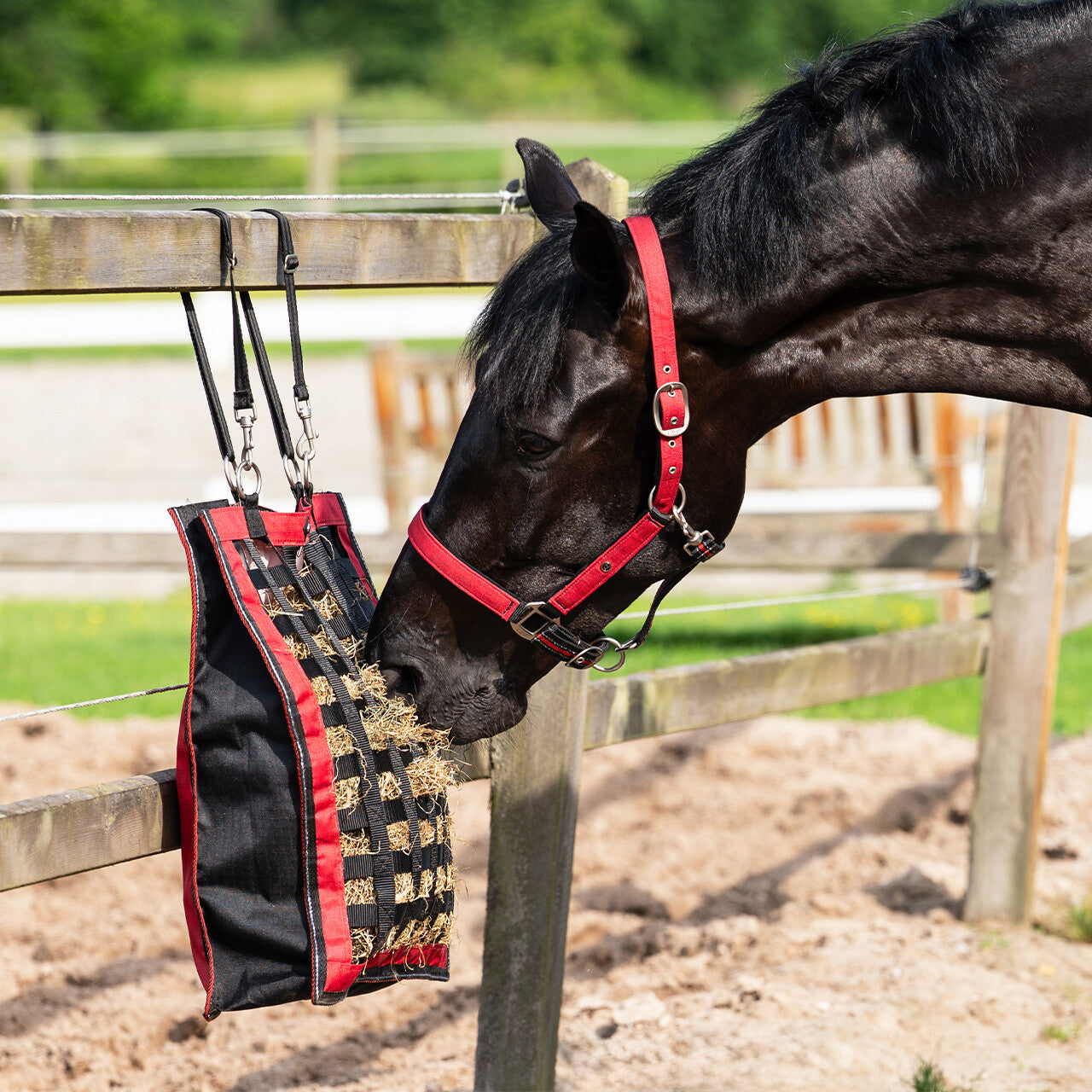 Accesorio ecuestre Redes y bolsas de heno Slowfeeder colección QHP para equitación - vista 18