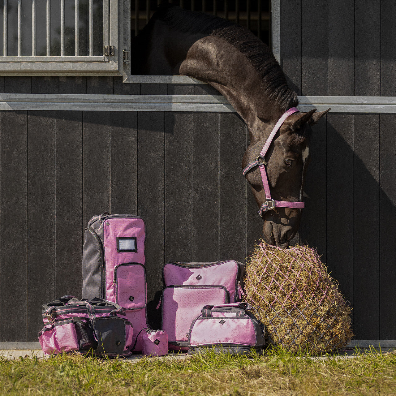 Bolsas de cuadra Stable bag colección QHP para equitación - vista 19