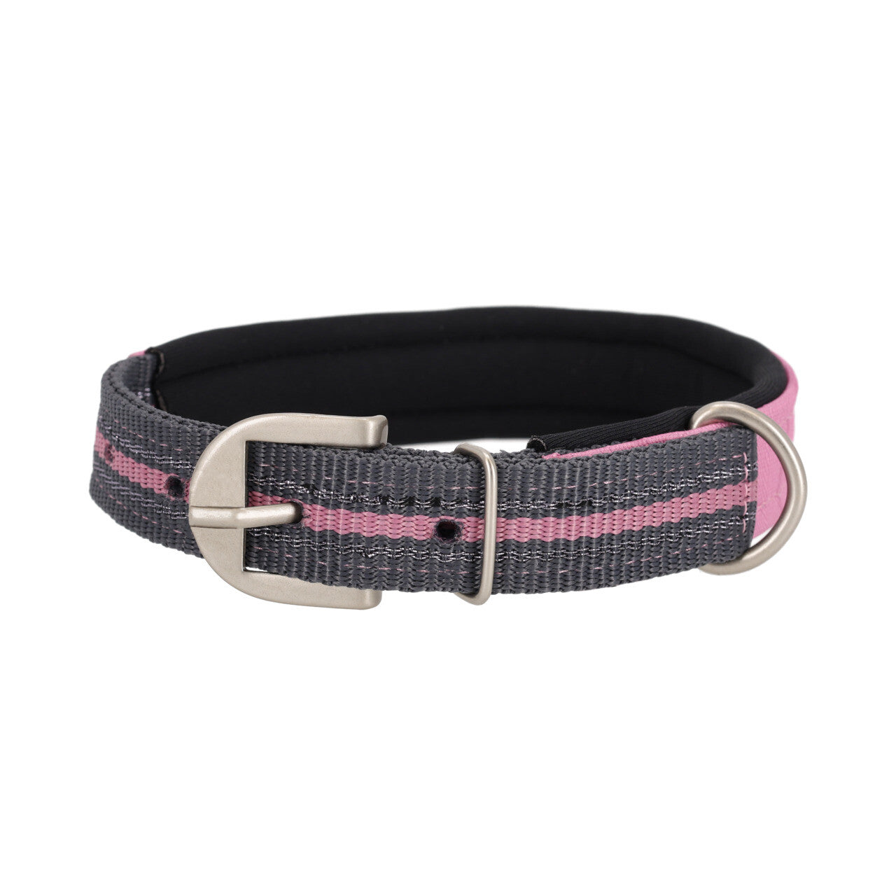 Producto perro Dog collar colección QHP para equitación - vista 39