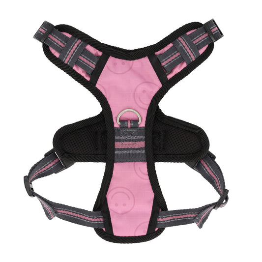 Producto perro Dog harness colección QHP para equitación - vista 2