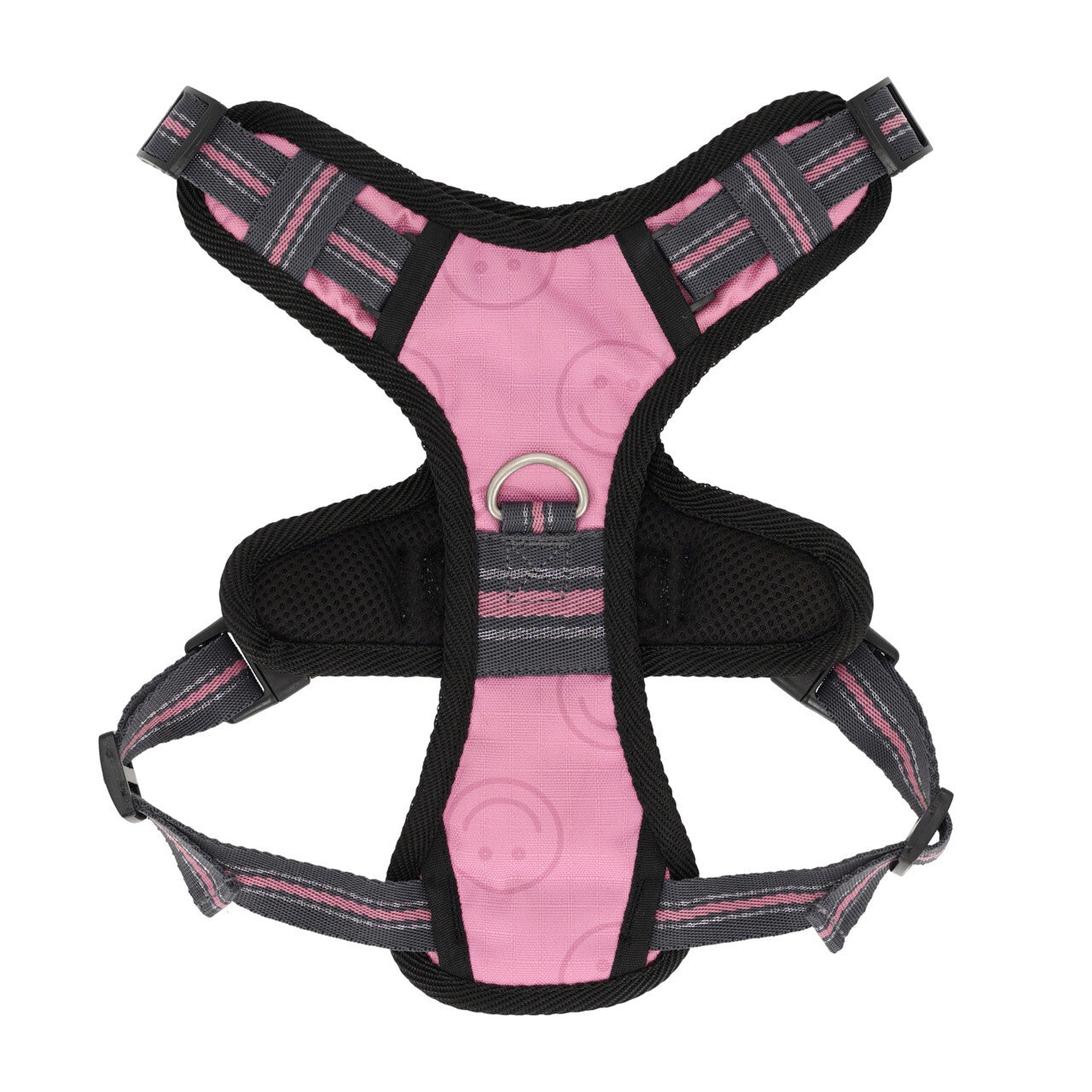 Producto perro Dog harness colección QHP para equitación - vista 34