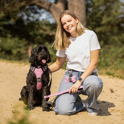 Producto perro Dog harness colección QHP para equitación - vista 30