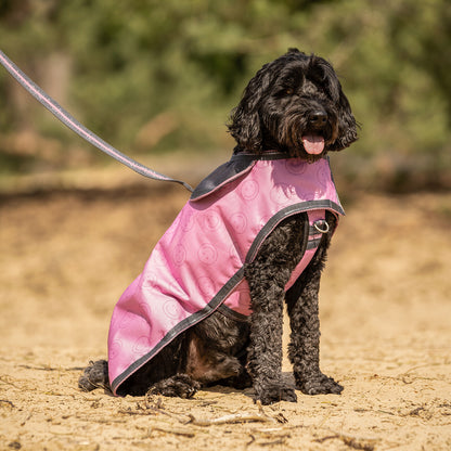 Producto perro Dog harness colección QHP para equitación - vista 32