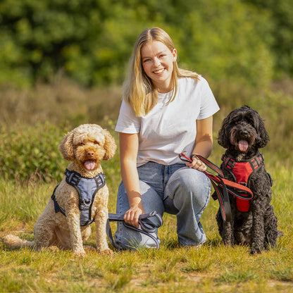 Producto perro correa para perro colección QHP para equitación - vista 7
