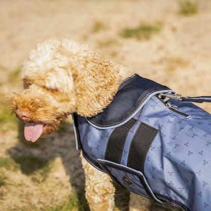 Producto perro Correa para perro QHP para equitación - vista 8